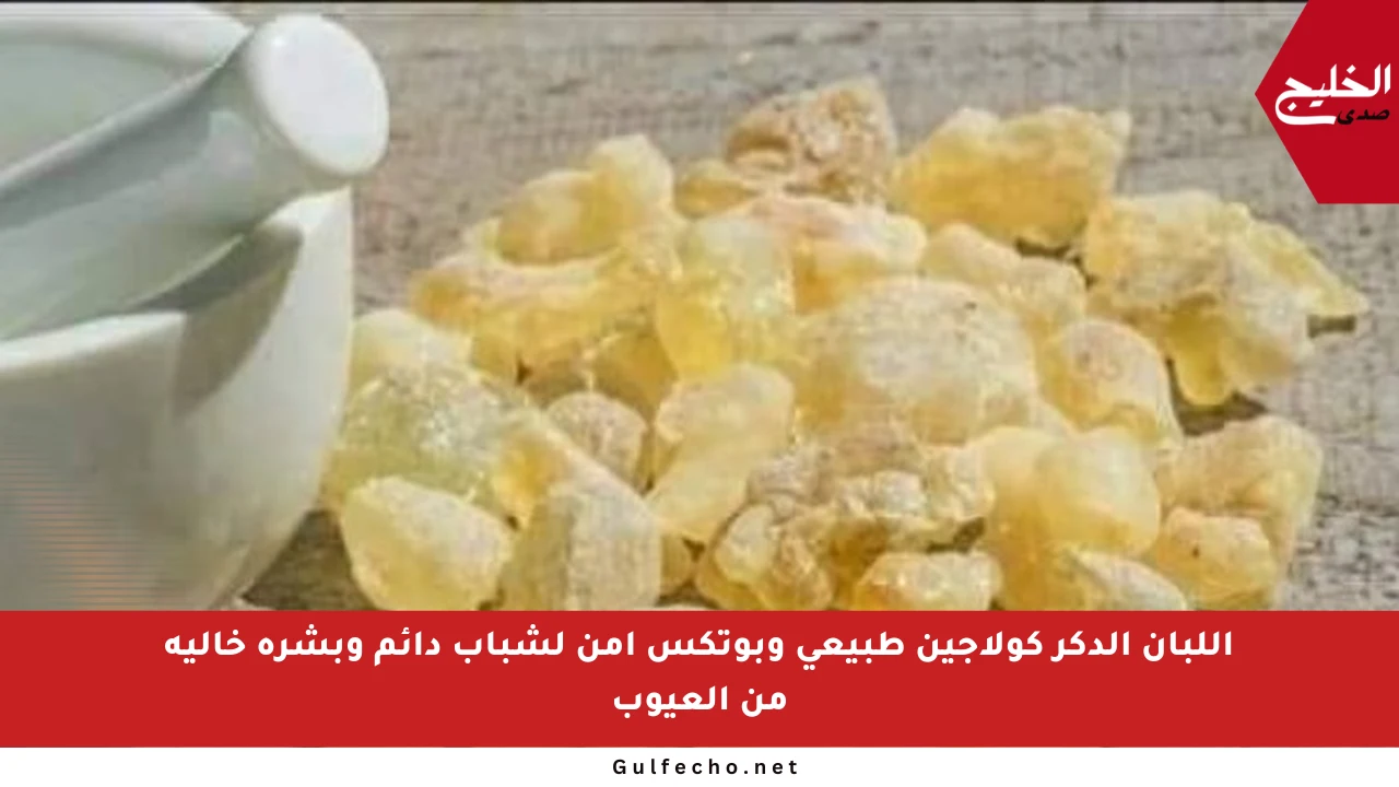 اللبان الدكر كولاجين طبيعي وبوتكس آمن لشباب دائم وبشرة خالية من العيوب